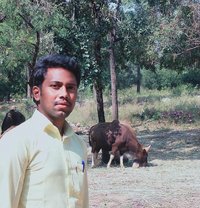 Ravipati Srikanth - Male escort in Pune