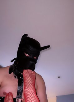 Rawaabomba - Transsexual escort in Agadir Photo 28 of 29