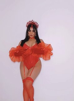 Rawaabomba - Transsexual escort in Agadir Photo 25 of 26