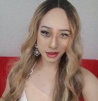 Rawadee.. - Transsexual escort in Muscat