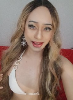 Rawadee.. - Transsexual escort in Muscat Photo 3 of 4