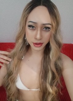 Rawadee.. - Transsexual escort in Muscat Photo 4 of 4