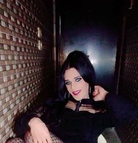 Rawan - Transsexual escort in Beirut