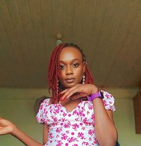 Ray(kilimani.) - Transsexual escort in Nairobi
