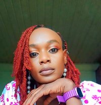 Ray(kilimani.) - Transsexual escort in Nairobi