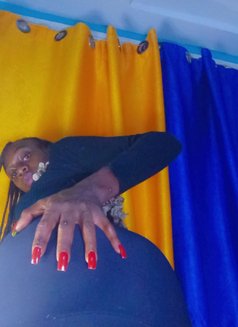 Ray(westland.) - Acompañantes transexual in Nairobi Photo 11 of 11