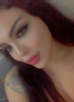 Razan 18cm - Transsexual escort in Beirut Photo 20 of 20