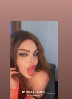 Razan 18cm - Acompañantes transexual in Beirut Photo 3 of 23