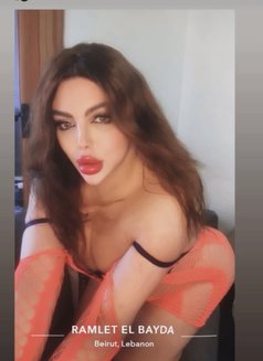 Razan 18cm - Acompañantes transexual in Beirut Photo 2 of 23