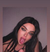 Razan 19 cm - Transsexual escort in Beirut