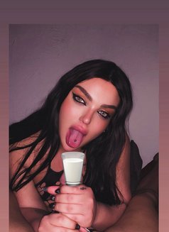 Razan milk - Transsexual escort in Beirut Photo 20 of 23