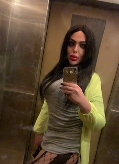 Razan milk - Transsexual escort in Beirut Photo 21 of 23