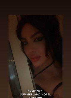 Razan 19cm🥛 - Transsexual escort in Beirut Photo 28 of 28