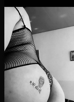 Razan beirut 20cm - Transsexual escort in Beirut Photo 24 of 24