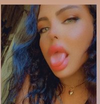 Razan beirut 20cm - Transsexual escort in Beirut