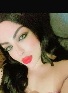 Razan 20cm - Transsexual escort in Beirut Photo 8 of 23