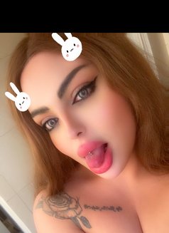 Razan 18 cm🥛 - Transsexual escort in Beirut Photo 25 of 26