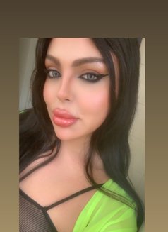 Razan milk - Transsexual escort in Beirut Photo 23 of 23