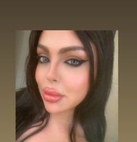 Razan milk - Transsexual escort in Beirut