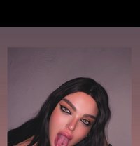 Razan milk 🥛 - Transsexual escort in Beirut