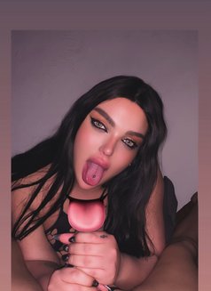 Razan 🥛 - Transsexual escort in Beirut Photo 25 of 26