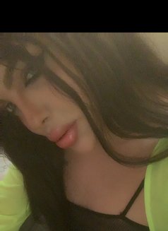 Razan 🥛 - Transsexual escort in Beirut Photo 26 of 26