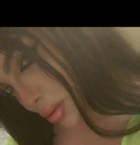 Razan 19cm🥛 - Transsexual escort in Beirut
