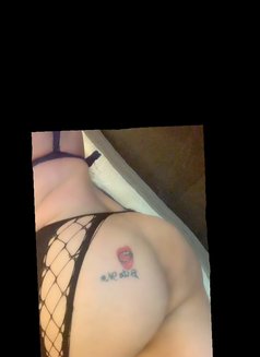 Razan milk - Transsexual escort in Beirut Photo 2 of 27