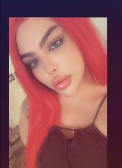 Razan milk 19 cm - Transsexual escort in Beirut Photo 28 of 29