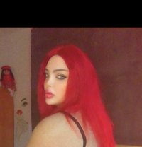 Razan milk - Transsexual escort in Beirut
