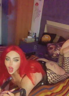 Razan milk - Transsexual escort in Beirut Photo 28 of 29