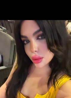 Razan milk - Transsexual escort in Beirut Photo 23 of 25