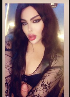 Razan milk - Acompañantes transexual in Beirut Photo 1 of 22