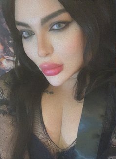 Razan milk - Acompañantes transexual in Beirut Photo 21 of 22