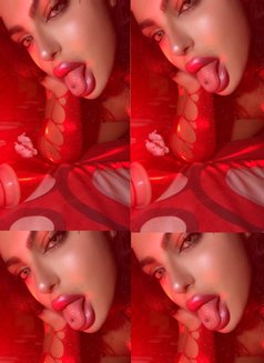 Razan vip - Transsexual escort in Beirut Photo 22 of 22