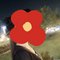 Read carefully.. iam not professional. - escort in Hyderabad Photo 4 of 5