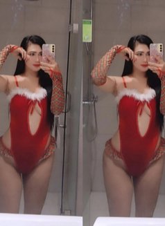 Ready to Satisfy All Your Desires - Transsexual escort in Bali Photo 11 of 18