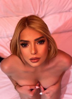 READY YOUR PLATES CAUSE I'M SERVING - Acompañantes transexual in Tokyo Photo 1 of 14