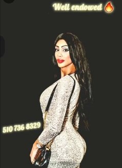 IM IN USA , big Active Dick in Californ - Transsexual escort in İstanbul Photo 4 of 18