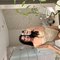 A GORGEOUS BABE IN DUBAI.TSKARA.VERSATOP - Transsexual escort in Dubai Photo 4 of 21