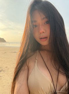 Real Laila Phuket - Transsexual escort in Phuket Photo 16 of 16
