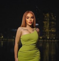 Real Living Goddess in town.VVIP!🤍 - Transsexual escort in Baghdad