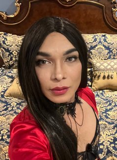 REAL MA$$AGE & $ENSATION - Transsexual escort in Bangkok Photo 5 of 5
