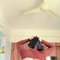 Realmeet incall and outcall available - puta in Bangalore Photo 2 of 3