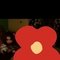 Free face confirmation cam and meet avl - puta in Kolkata