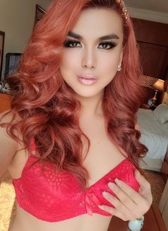 Real Top Mistress. Just Arrived! - Acompañantes transexual in Guangzhou Photo 20 of 25