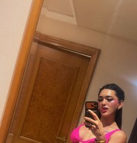 REAL THICK XL,HOT&SEXY LEXI - Transsexual escort in Hong Kong