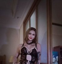 REAL THICK XL,HOT&SEXY LEXI - Transsexual escort in Hong Kong