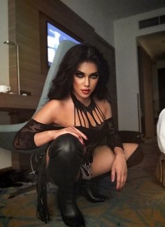 Hard dick Top Dominant - Transsexual escort in Manila Photo 23 of 27