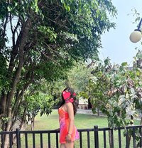Realty Meet Up & Cam Show - escort in Chandigarh